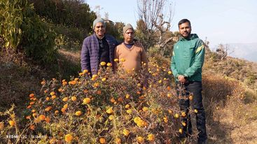 दुई मुठ्ठी बिउले फर्काएको खुशी